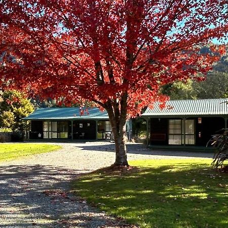 Kiwi Park Motels Мерчисон Экстерьер фото